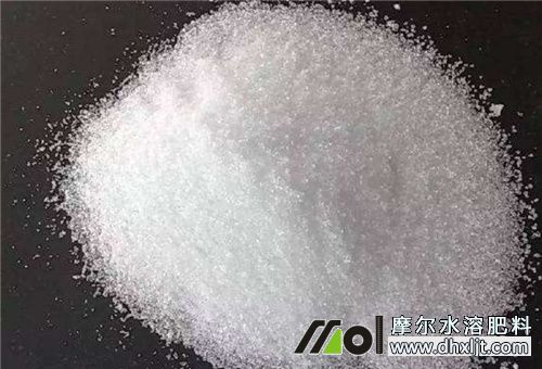 肥料溶解后沖施注意 肥料溶解后沖施注意