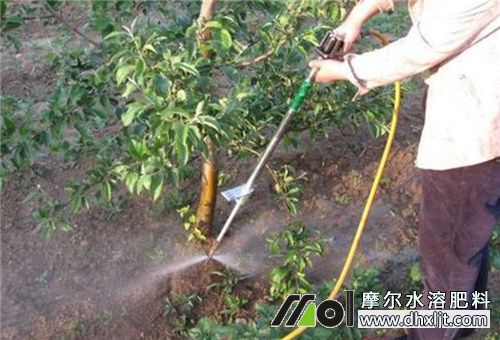 作物沖施肥料 作物沖施肥料