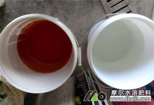 沖施肥稀釋 沖施肥稀釋