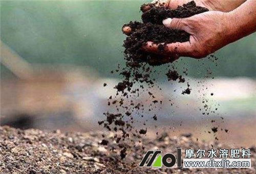 有機(jī)肥能否沖施 有機(jī)肥能否沖施