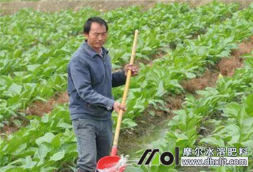 沖施施肥 沖施施肥