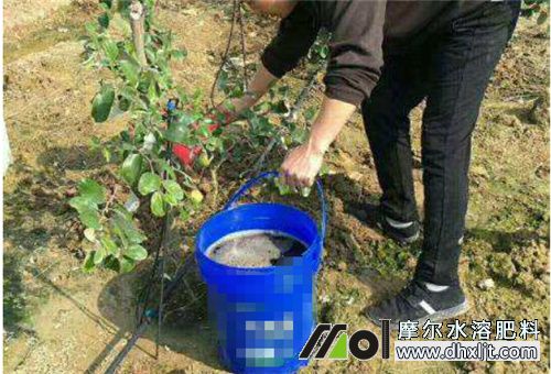 沖施是怎樣的 沖施是怎樣的