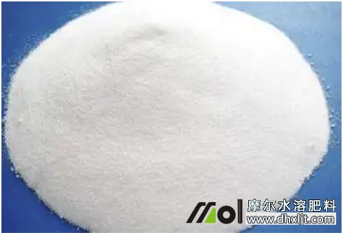 生根營養元素 生根營養元素