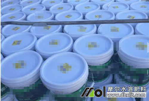 高端桶裝肥 高端桶裝肥