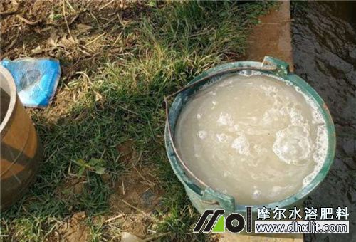 沖施肥溶解稀釋 沖施肥溶解稀釋