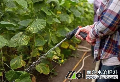 沖施肥肥效時長 沖施肥肥效時長