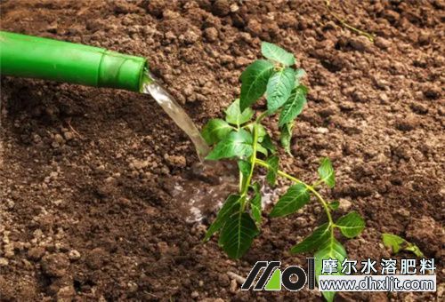 沖施肥頻換好不好 沖施肥頻換好不好