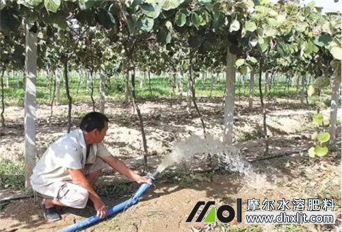 土壤板結原因 土壤板結原因