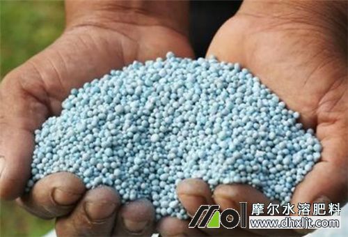 土壤板結原因 土壤板結原因