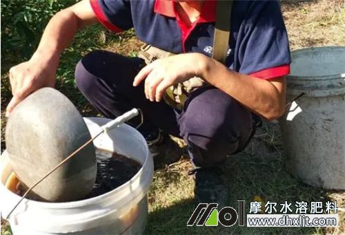 沖施肥使用注意 沖施肥使用注意