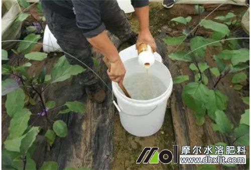 水沖肥化開后存放時(shí)間 水沖肥化開后存放時(shí)間