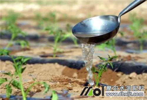 沖施肥好處 沖施肥好處