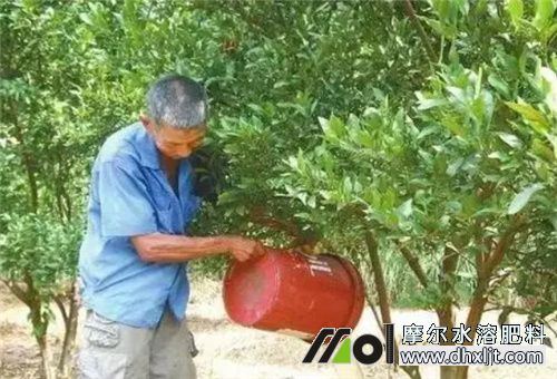 沖施肥好處 沖施肥好處