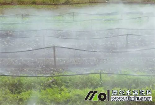 沖施肥噴灌施肥 沖施肥噴灌施肥