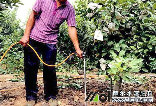 沖施肥使用前景 沖施肥使用前景