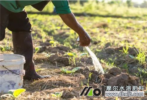 沖施肥使用方法 沖施肥使用方法