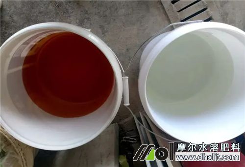 沖施肥先澆水還是先沖肥 沖施肥先澆水還是先沖肥