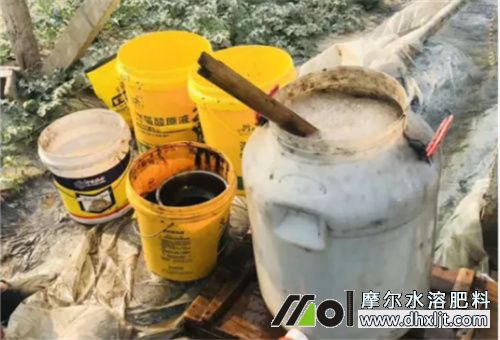 多施沖施肥好處 多施沖施肥好處