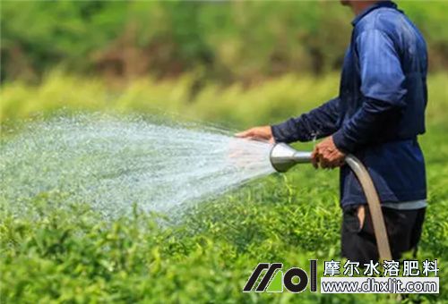 肥料沖施優(yōu)點 肥料沖施優(yōu)點