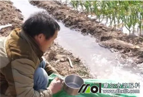 肥料沖施優(yōu)點 肥料沖施優(yōu)點