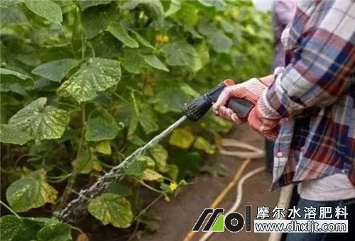 沖施肥使用細節 沖施肥使用細節