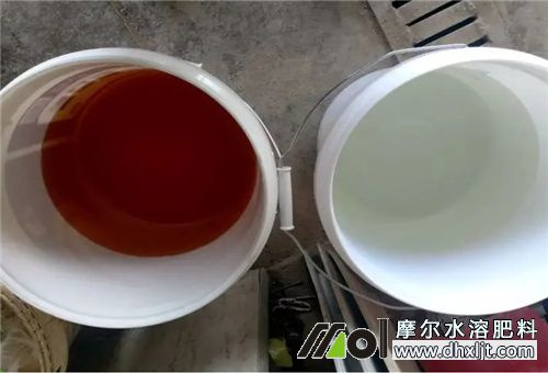 沖施肥稀釋細節 沖施肥稀釋細節