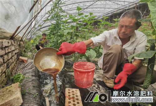 沖施肥使用注意 沖施肥使用注意