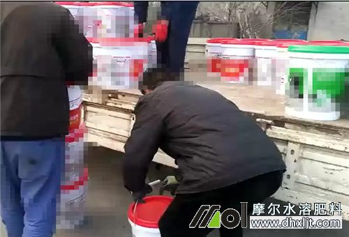 桶裝肥配方如何 桶裝肥配方如何