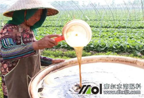 桶裝肥真假辨別 桶裝肥真假辨別