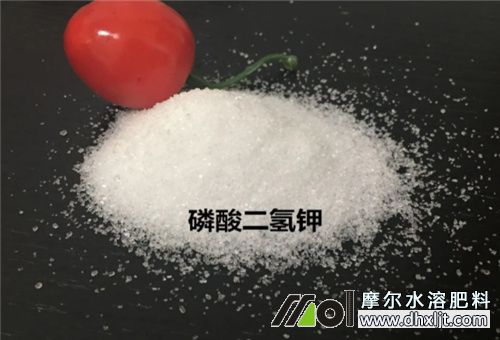 黃瓜結瓜期沖肥 黃瓜結瓜期沖肥