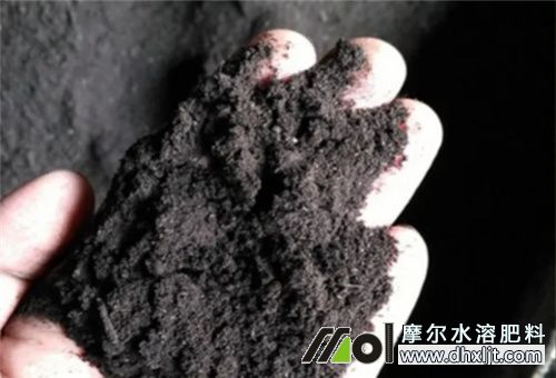 大豆種植所需底肥 大豆種植所需底肥