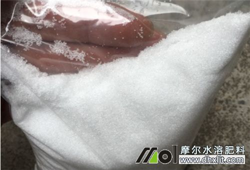 大豆生長期沖肥 大豆生長期沖肥