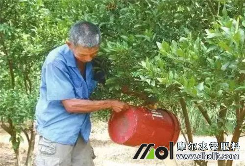 小雨天不能撒沖施肥 小雨天不能撒沖施肥