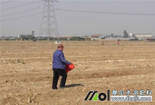 小雨天不能撒沖施肥 小雨天不能撒沖施肥