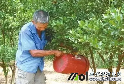 土壤改良肥沖施 土壤改良肥沖施