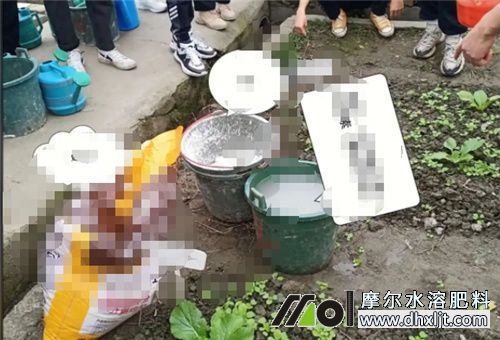 氮肥使用注意 氮肥使用注意