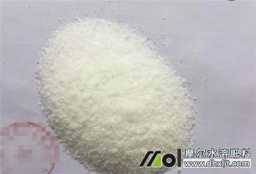 氮肥沖施比例 氮肥沖施比例