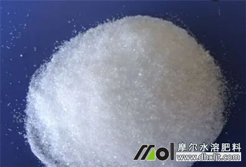 氮肥沖施比例 氮肥沖施比例