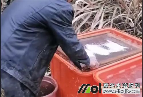 沖施肥稀釋問題 沖施肥稀釋問題