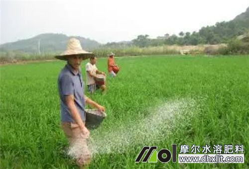 小雨能否撒沖施肥 小雨能否撒沖施肥