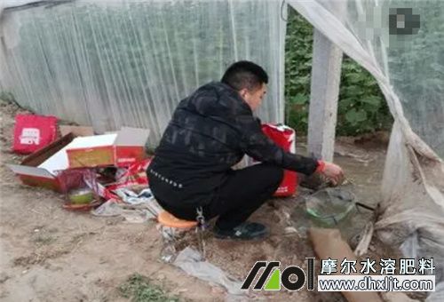 黃瓜施鉀肥方法 黃瓜施鉀肥方法