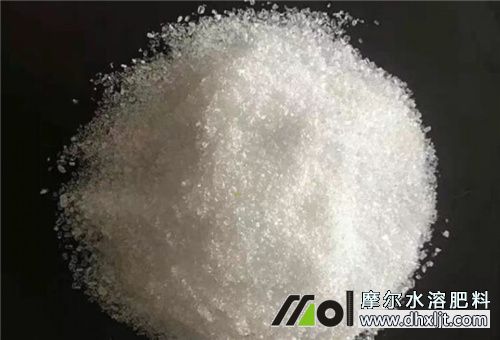 黃瓜追施高鉀肥料 黃瓜追施高鉀肥料