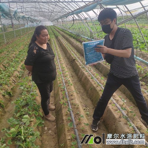 摩爾專員推廣新型肥料 摩爾專員推廣新型肥料