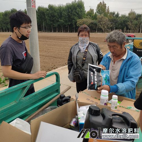 摩爾專員解答種植問題 摩爾專員解答種植問題