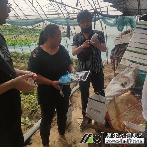 種植戶了解新型肥料優(yōu)勢2 種植戶了解新型肥料優(yōu)勢2