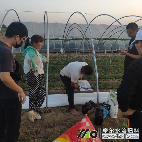 錢先生查看肥料說明中 錢先生查看肥料說明中