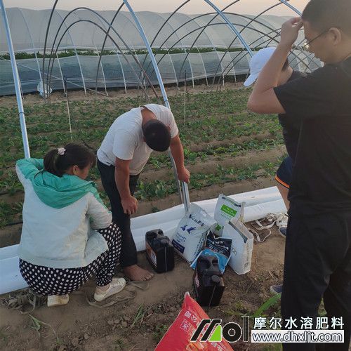 錢先生查看肥料說明中2 錢先生查看肥料說明中2