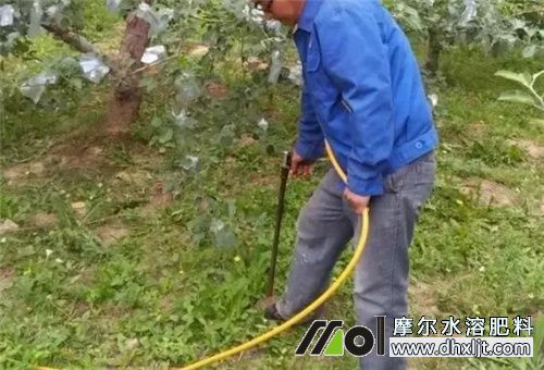 沖施肥見效期 沖施肥見效期