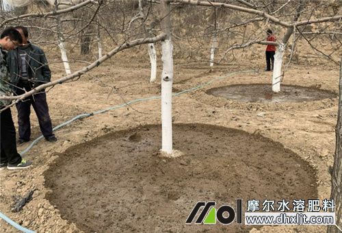 沖施肥吸收時長 沖施肥吸收時長