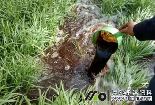 沖施肥規范用法 沖施肥規范用法